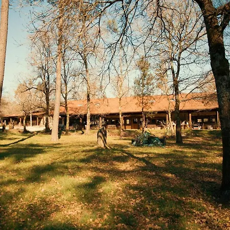 Vandrerhjem Bergando